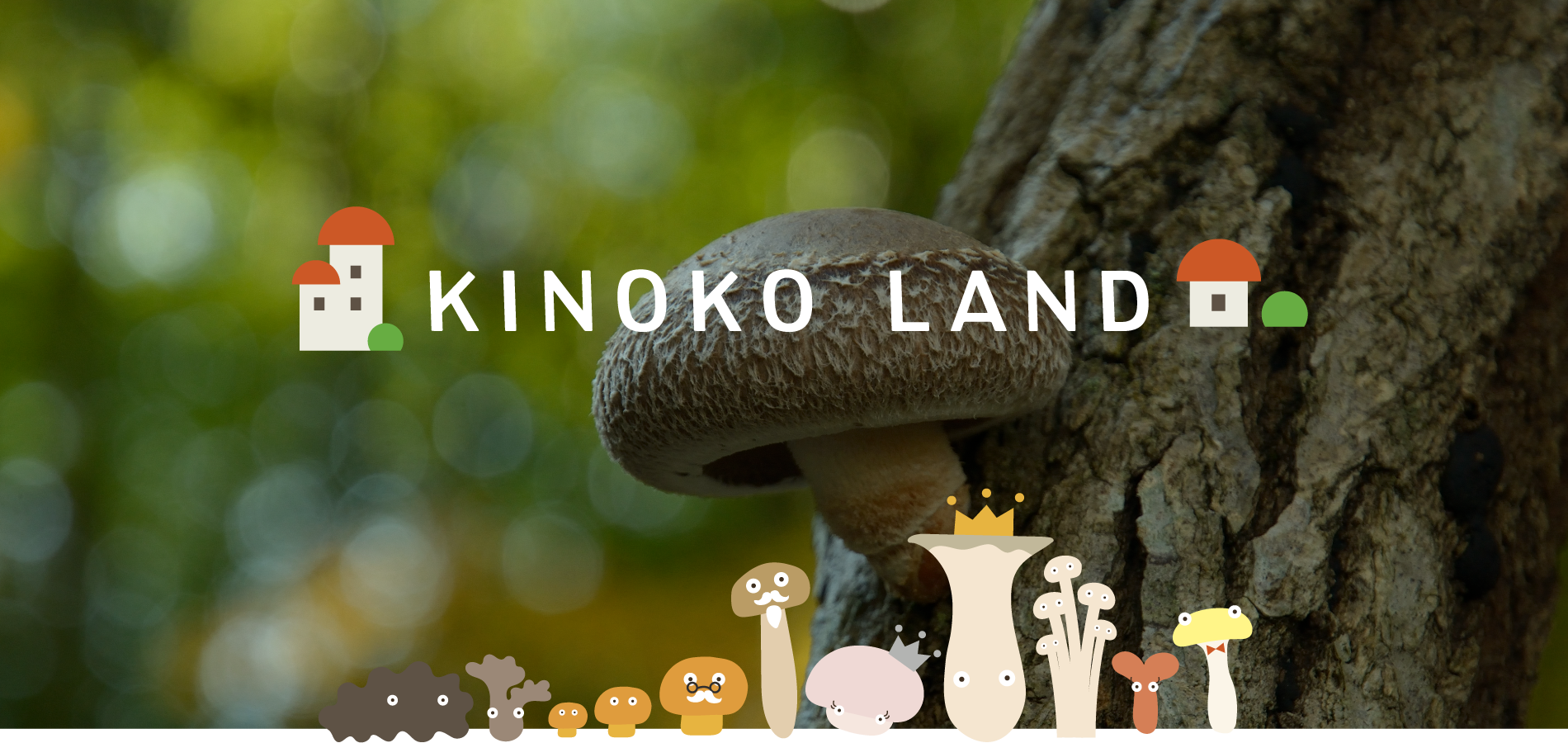 KINOKO LAND